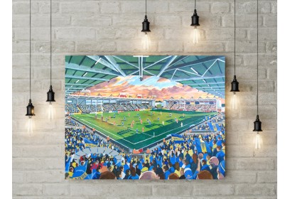 Warrington Wolves RLC Halliwell Jones Stadium Wall Art Canvas